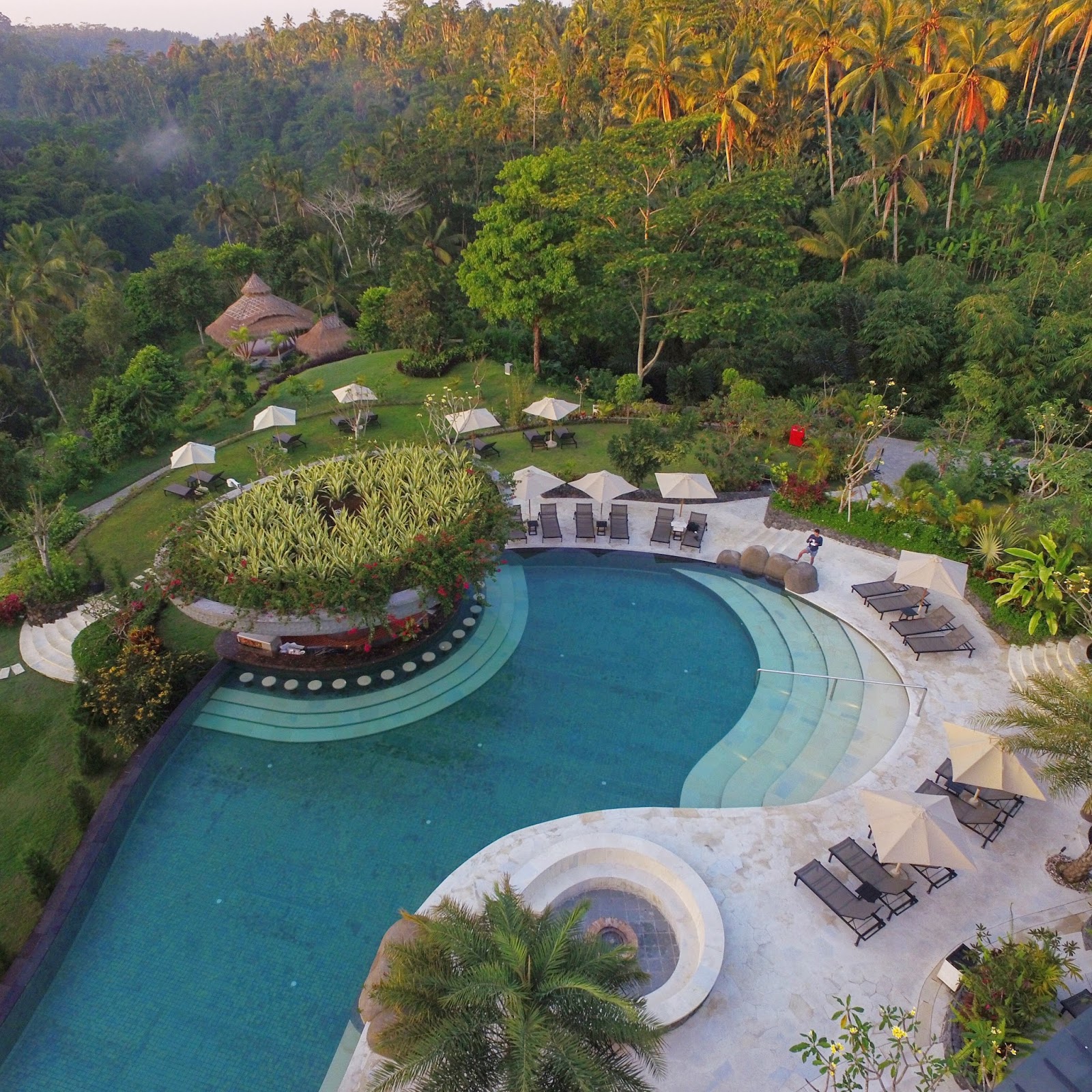 View Pool Padma Resort Ubud Background
