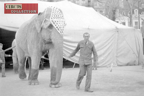 un éléphant et son cornac au Cirque Napoleon Rancy 