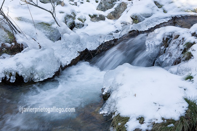 Imagen invernal de uno de los arroyos que descienden por la cara norte de la Sierra de Guadarrama Segovia. Castilla y León. España