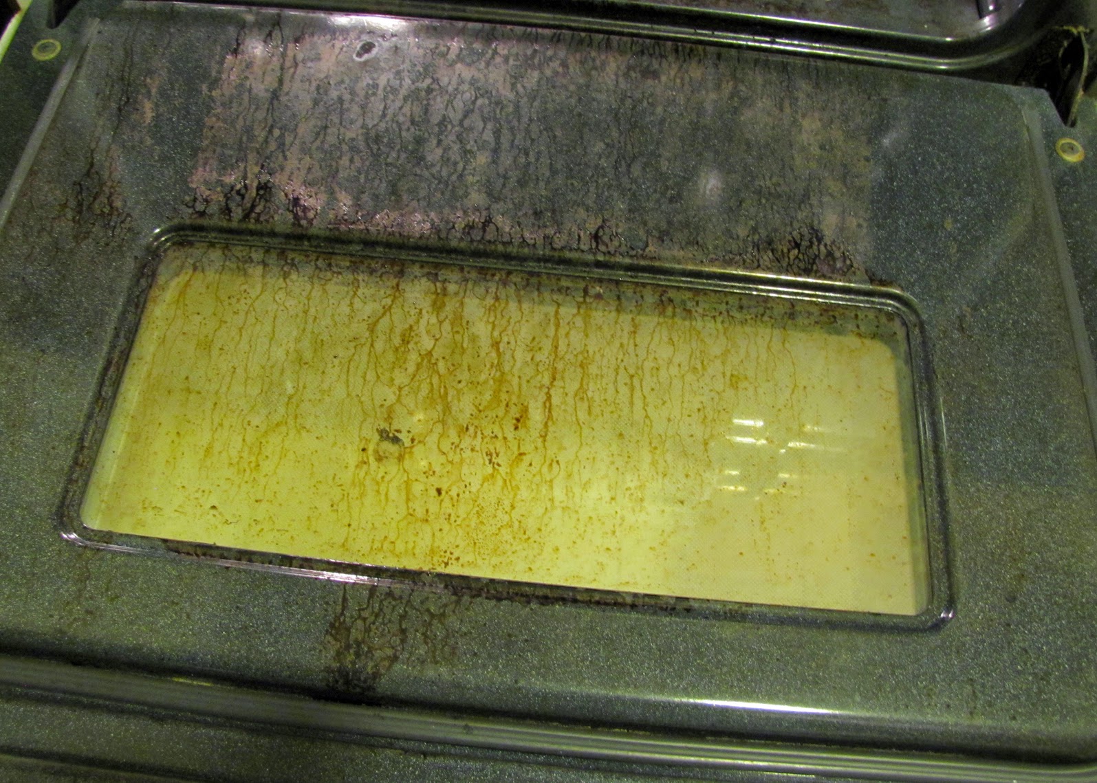 Smells Like Food in Here Cleaning the Oven and Broiler