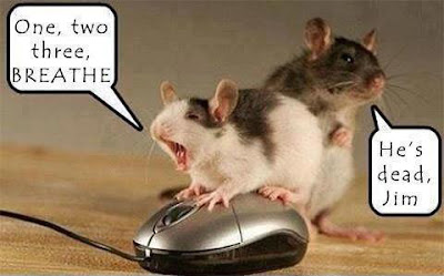 Dead Mouse Funny
