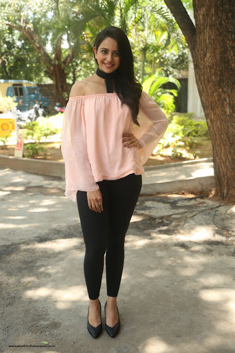 Rakul Preet Singh at Jaya Janaki Nayaka Success Meet