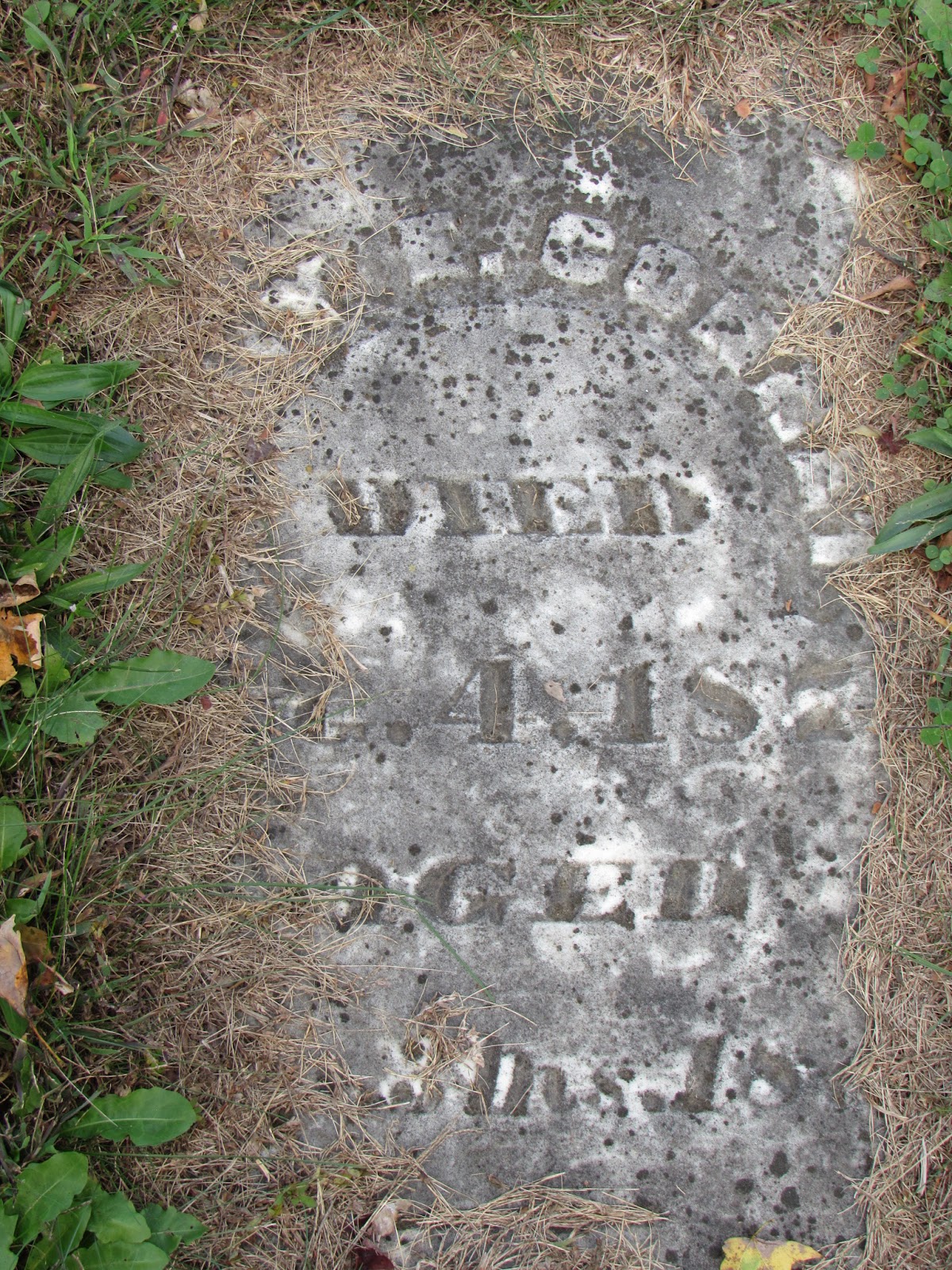 A Walk Through The Tombstones Greene County Chapel Cemetery