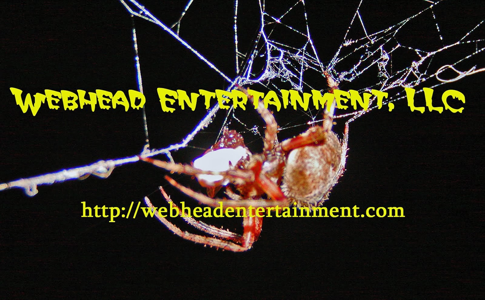 Webhead Entertainment LLC