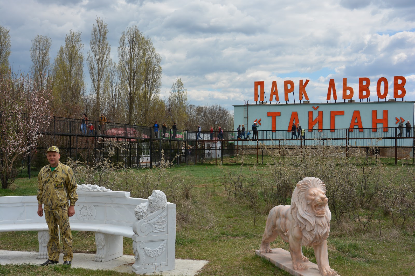 Тайган сафари статуя Льва