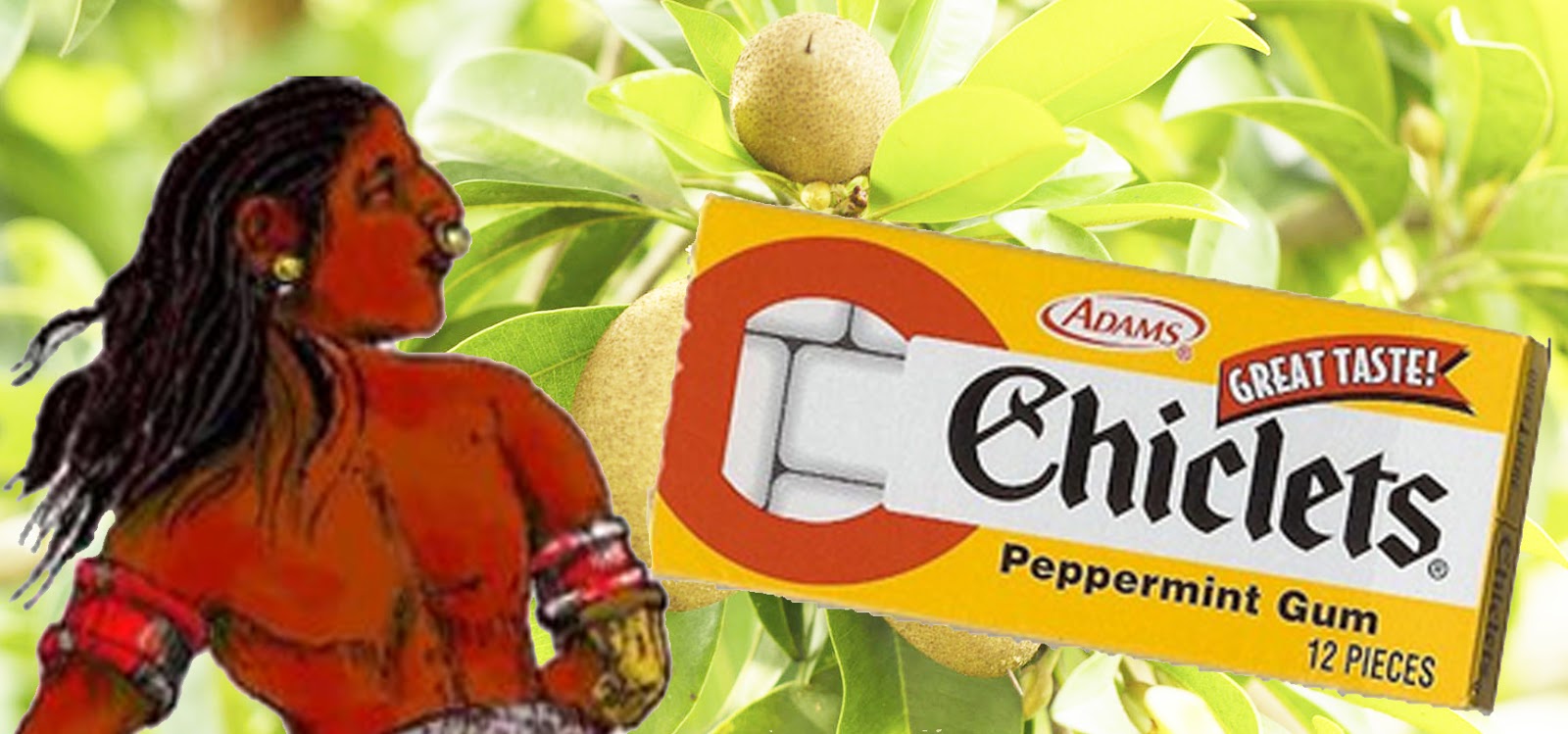 Yamaye Chewing Sapodilla Gum