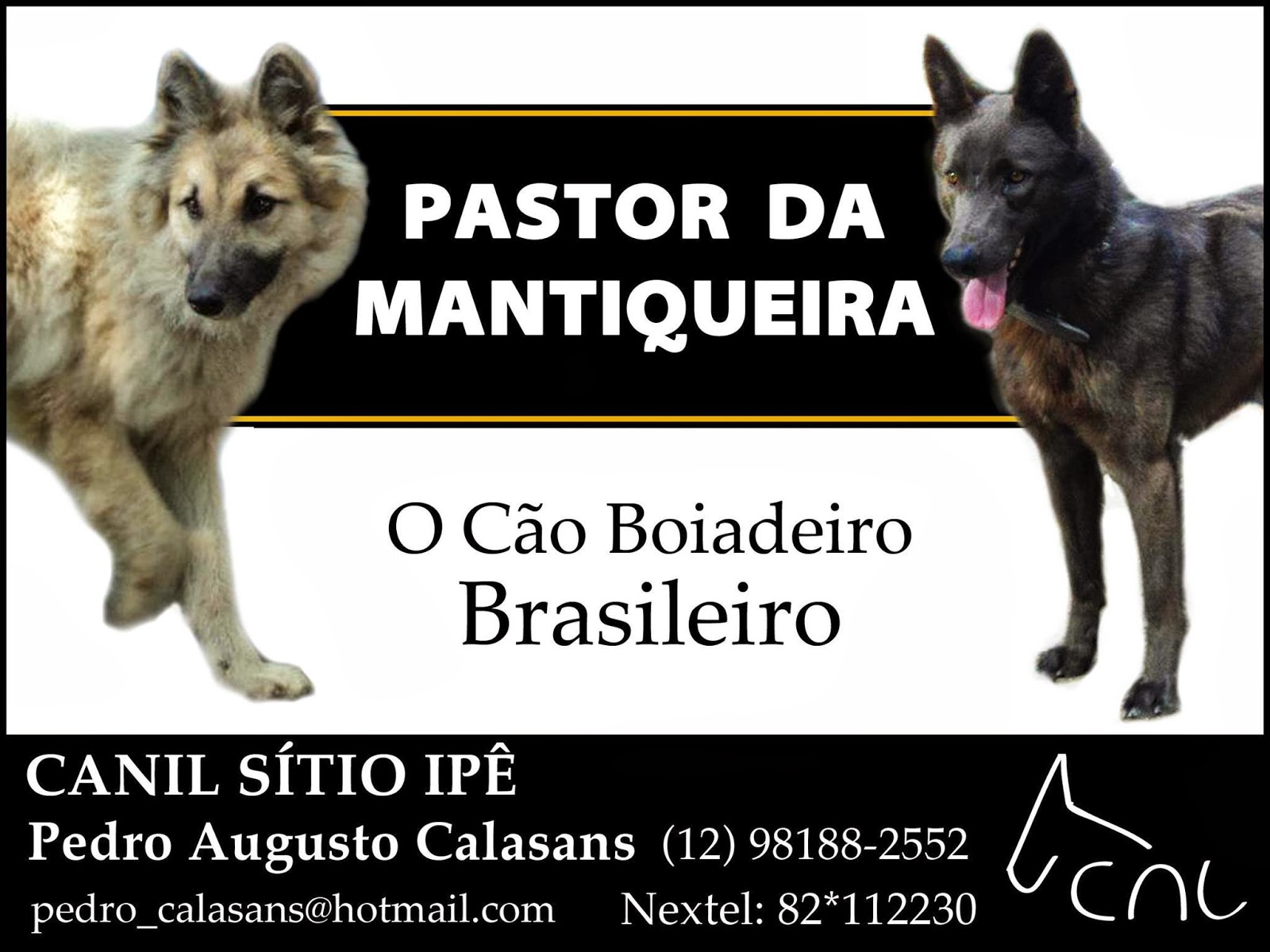SÍTIO IPÊ Eqüinos,Muares,Traias e Cães Pastor da Mantiqueira em Jacareí,São Paulo(Vale do SÍTIO IPÊ Eqüinos,Muares,Traias e Cães Pastor da Mantiqueira em Jacareí,São Paulo(Vale do