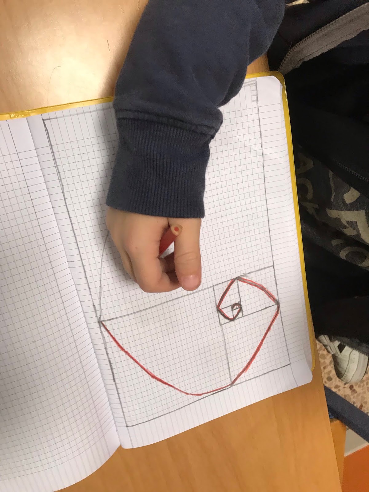 Il Fibonacci Day e la spirale "magica"!