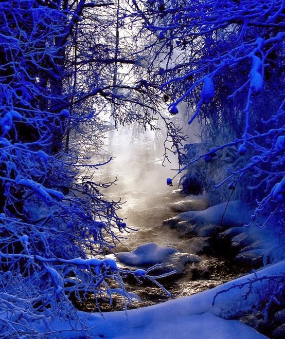 Beautiful Winter Cobalt Scene
