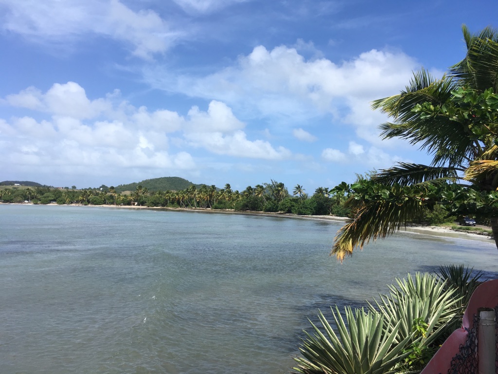 Grande Anse des Salines (Sainte Anne) Souvenir de vacances
