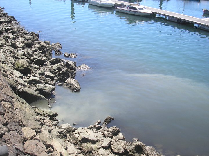 Resultado de imagem para foto de esgotos da marina de olhão