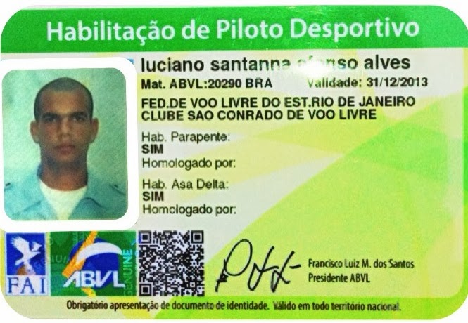 Piloto certificado (profissional)