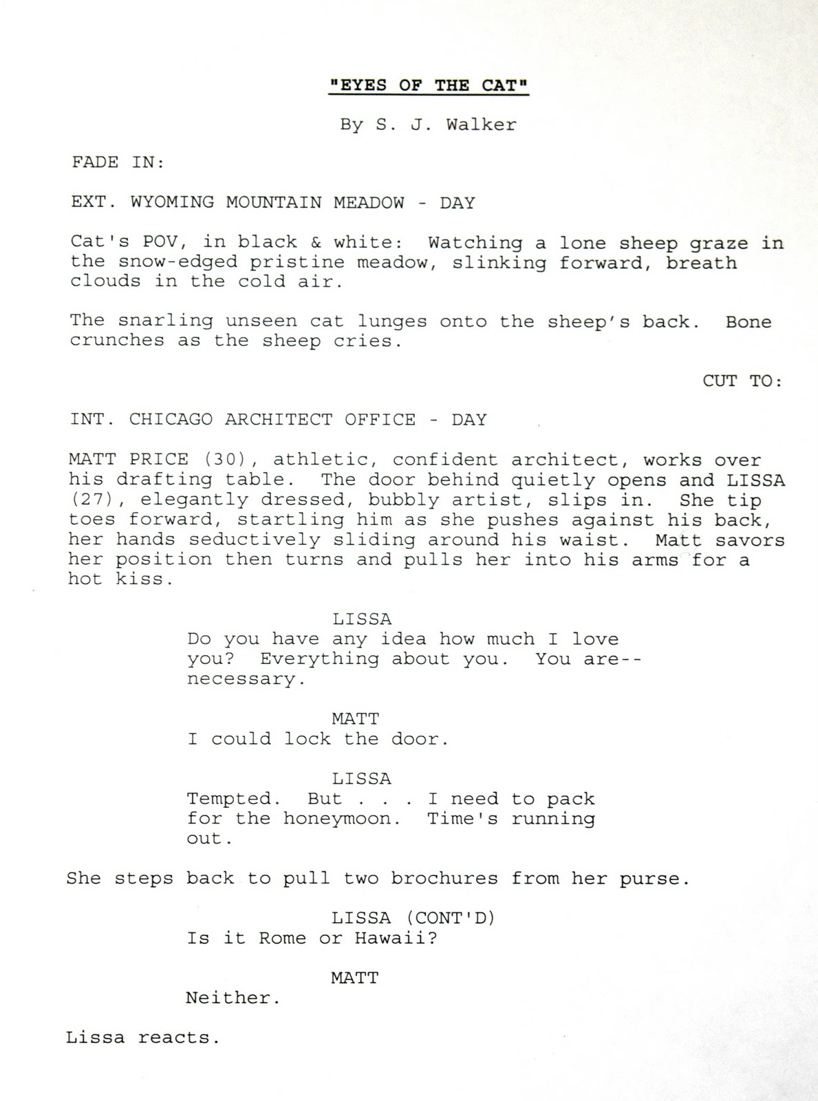 Writers Who Kill Sally J. Walker