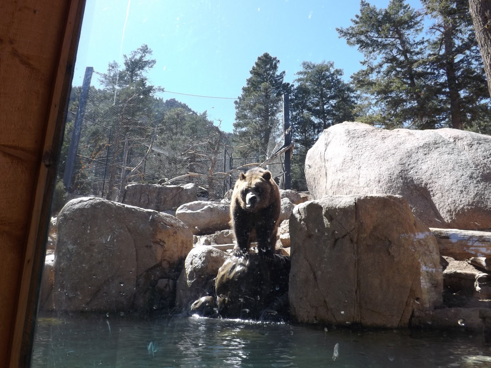 Colors of the World Weekend in Colorado Springs zoo. Выходные в