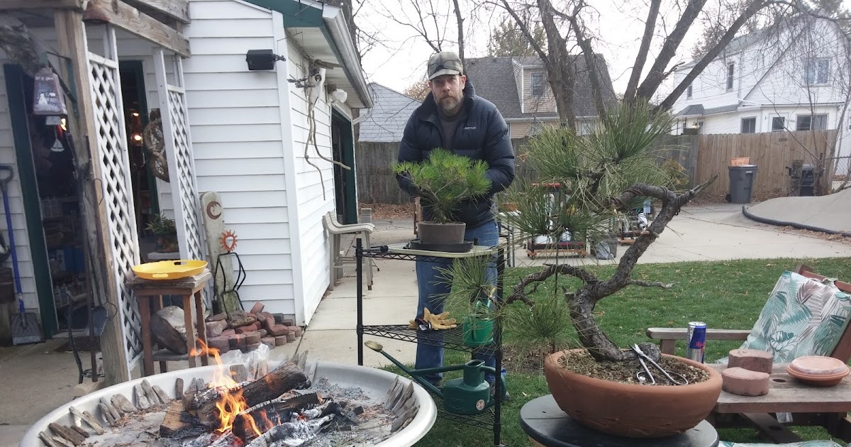 ARBOR ARTS COLLECTIVE FIRE PIT SESSION...