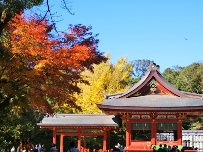 鶴岡八幡宮の紅葉