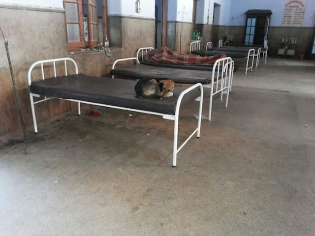 गोली निकाले बिना मरीज को कर दिया डिस्चार्ज, mjk हॉस्पिटल के डोक्टरो का कारनामा। 3