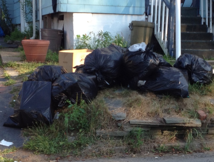 Woodridge New York...Spotlight On Litter Woodridge Spotlight on Litter