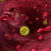 SAÚDE / Cura do HIV deve ser revelada daqui a alguns meses, anunciam pesquisadores