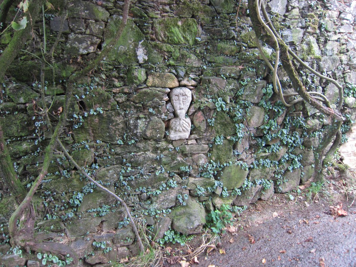 MEGALITICIA Idolo de Reboredo