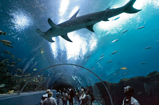 akuarium terbesar di dunia5
