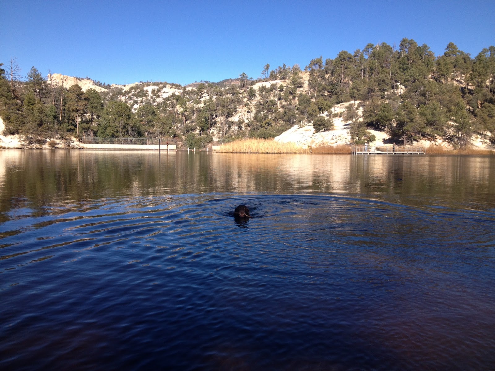 Rose canyon lake weather