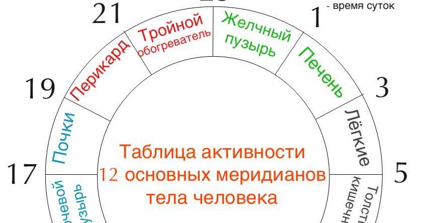 Время активности меридианов человека таблица время. Периоды активности меридианов человека.