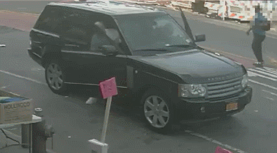 GIF.gif