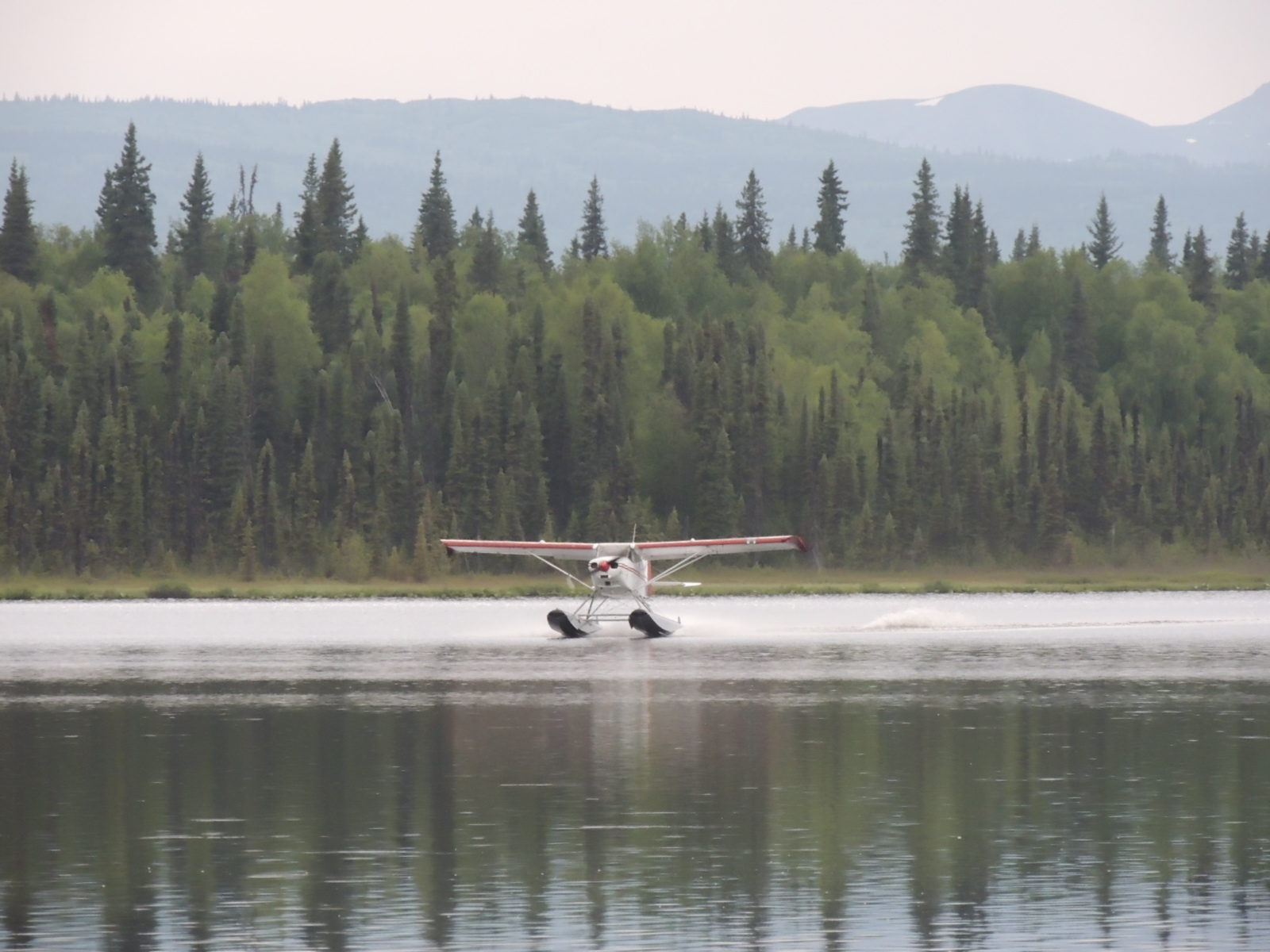 Alaska Bush Life, Off-Road, Off-Grid: Autumn: Moose ...
