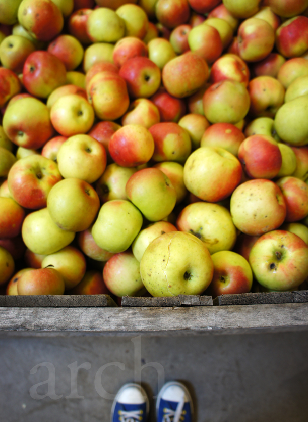 Rang The Colours of Life. Apple picking. Grape stomping.