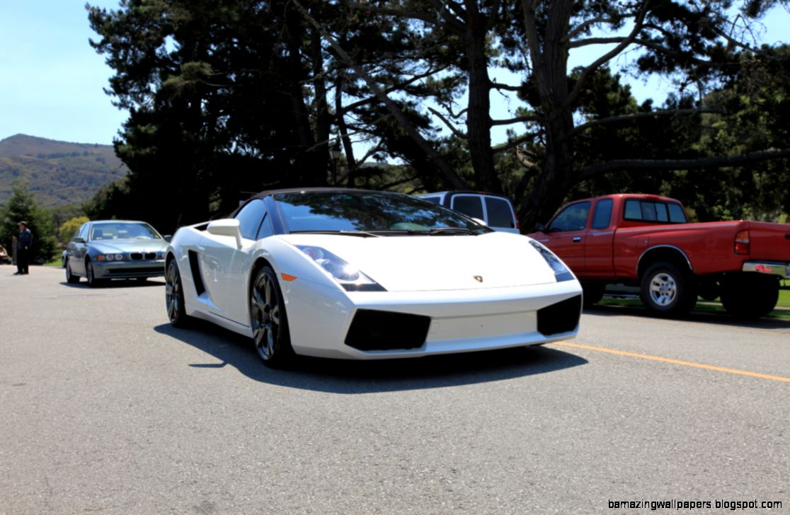 White Lamborghini Gallardo Spyder   2  MadWhips