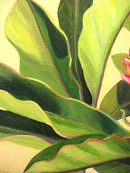 hawaiian flower pod emma sketch 1st block