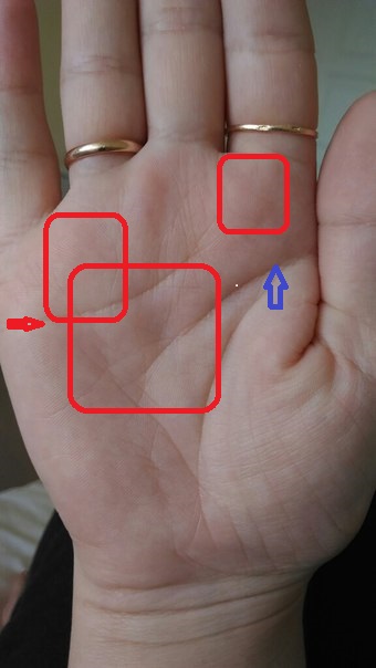 %25D0%2598%25D1%2580%25D0%25B8%25D0%25BD