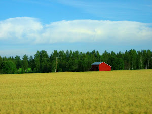 ...and this is what I love in Finland...the rustic BARNS