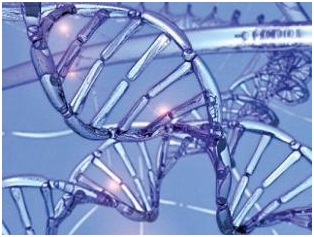 semi synthetic organism - दुनिया के पहले स्थिर अर्द्ध-सिंथेटिक (semi-synthetic) जीव की खोज