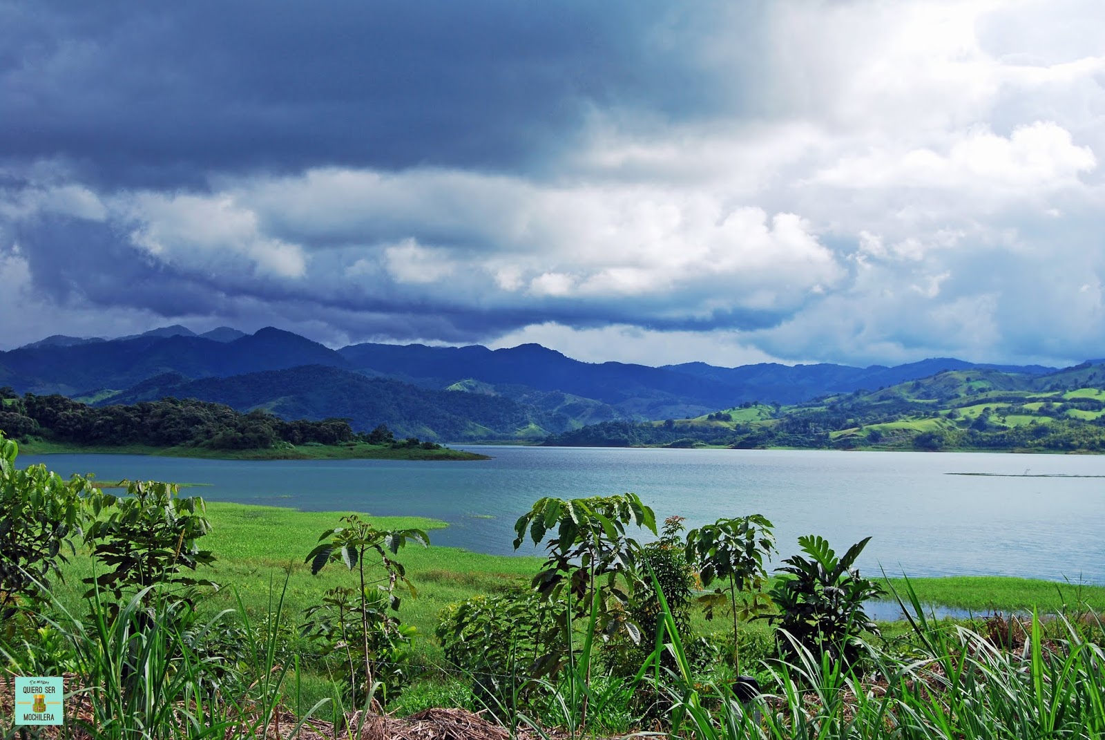 🌍 Guía para visitar la RESERVA de SANTA ELENA en Monteverde (Costa Rica