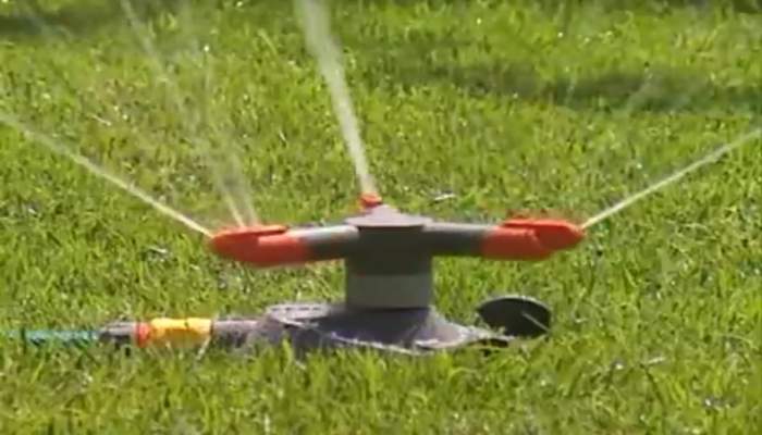 Cesped, tipos, poda y riego - Cosas De Jardineria