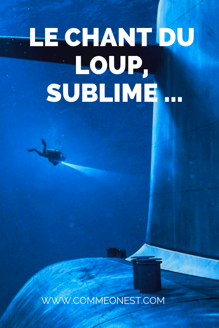 Devise Snle Le Chant Du Loup Le chant du loup, sublime - Comme On Est