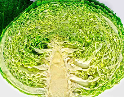 cabbage-immunity-boosting-foods-for-adults-children