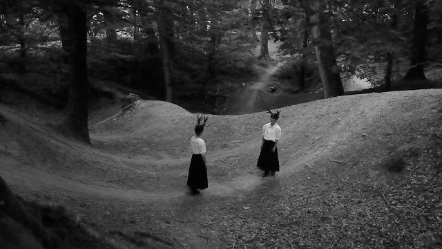 film still from the video installation 'Szene Hirsch'