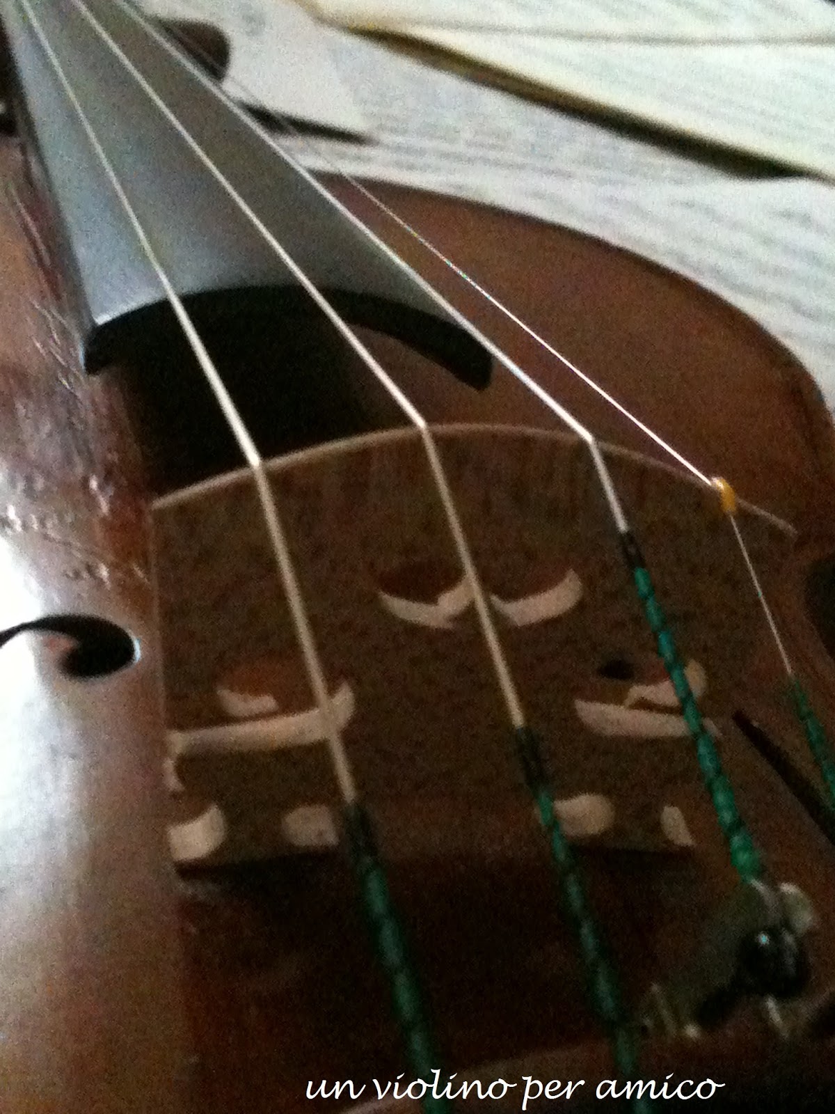 Un violino per amico E ORA SI SUONA!