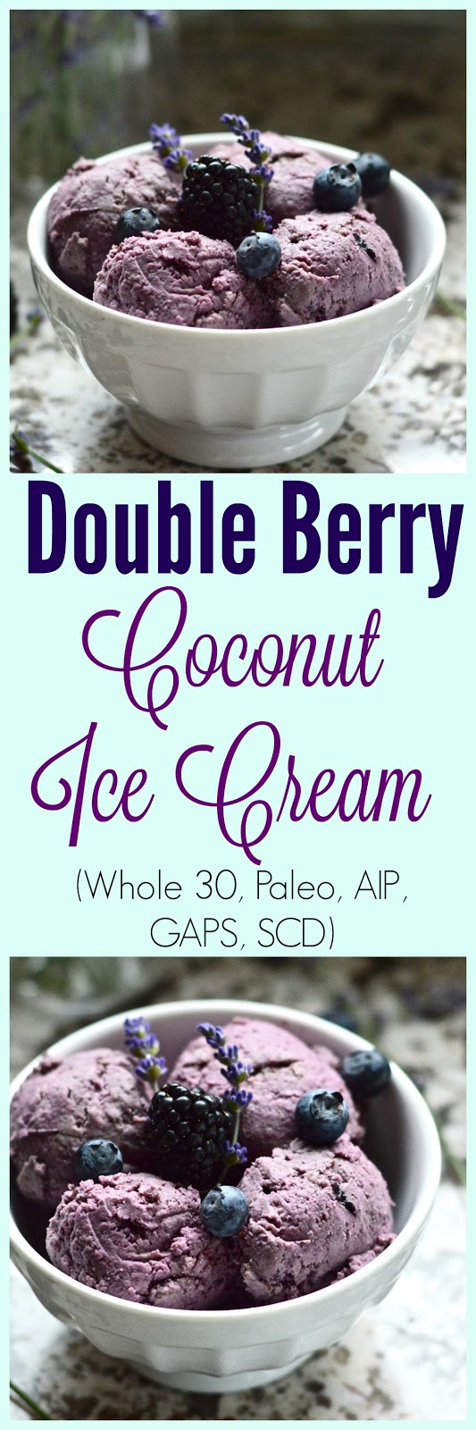 Pure and Simple Nourishment Paleo Double Berry Coconut Ice Cream