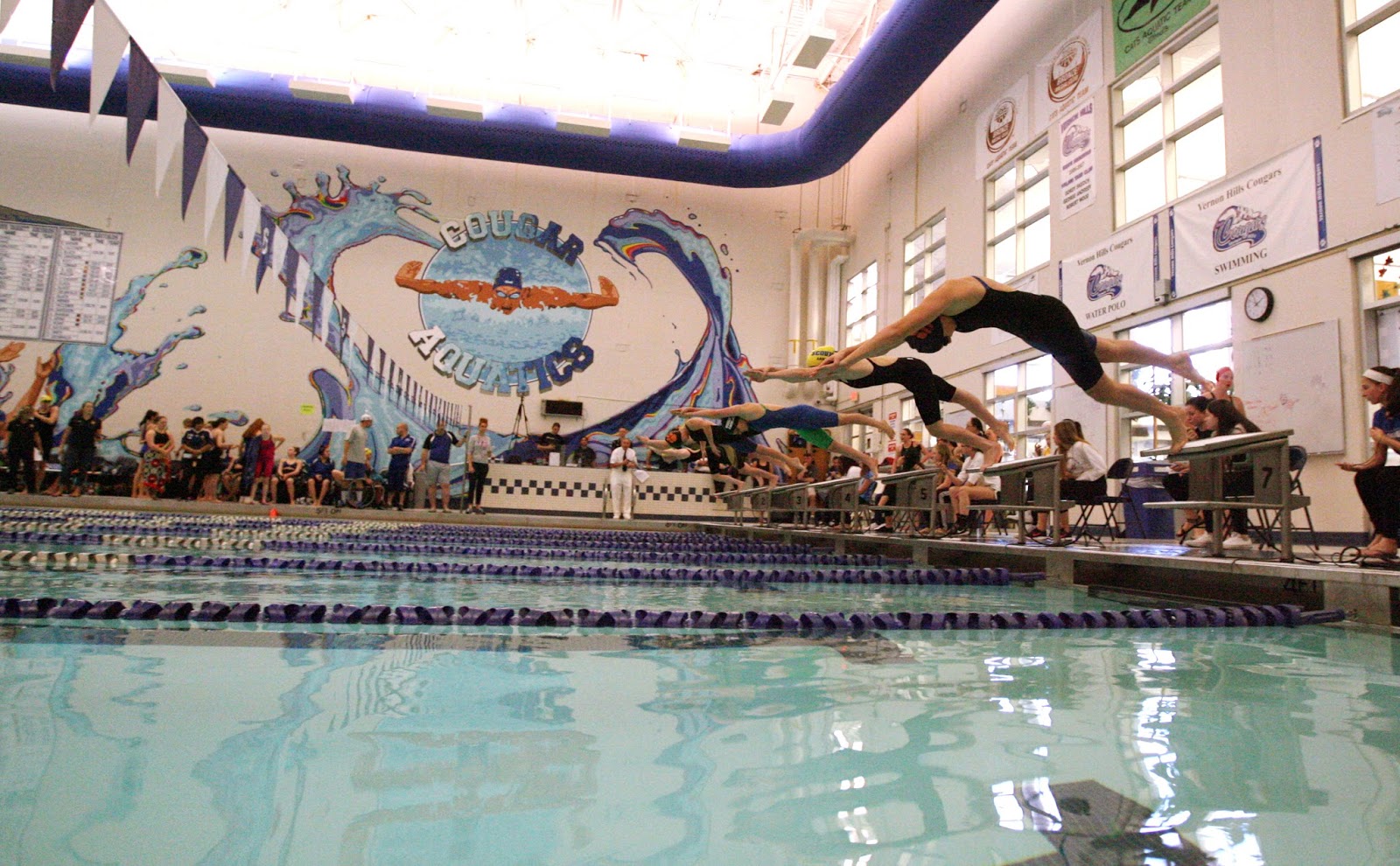Mark Kodiak Ukena IHSA Girls Swimming Sectionals at Vernon Hills High