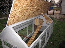 chicken homemade coop nesting box boxes area chickens door sparing change main looking into op