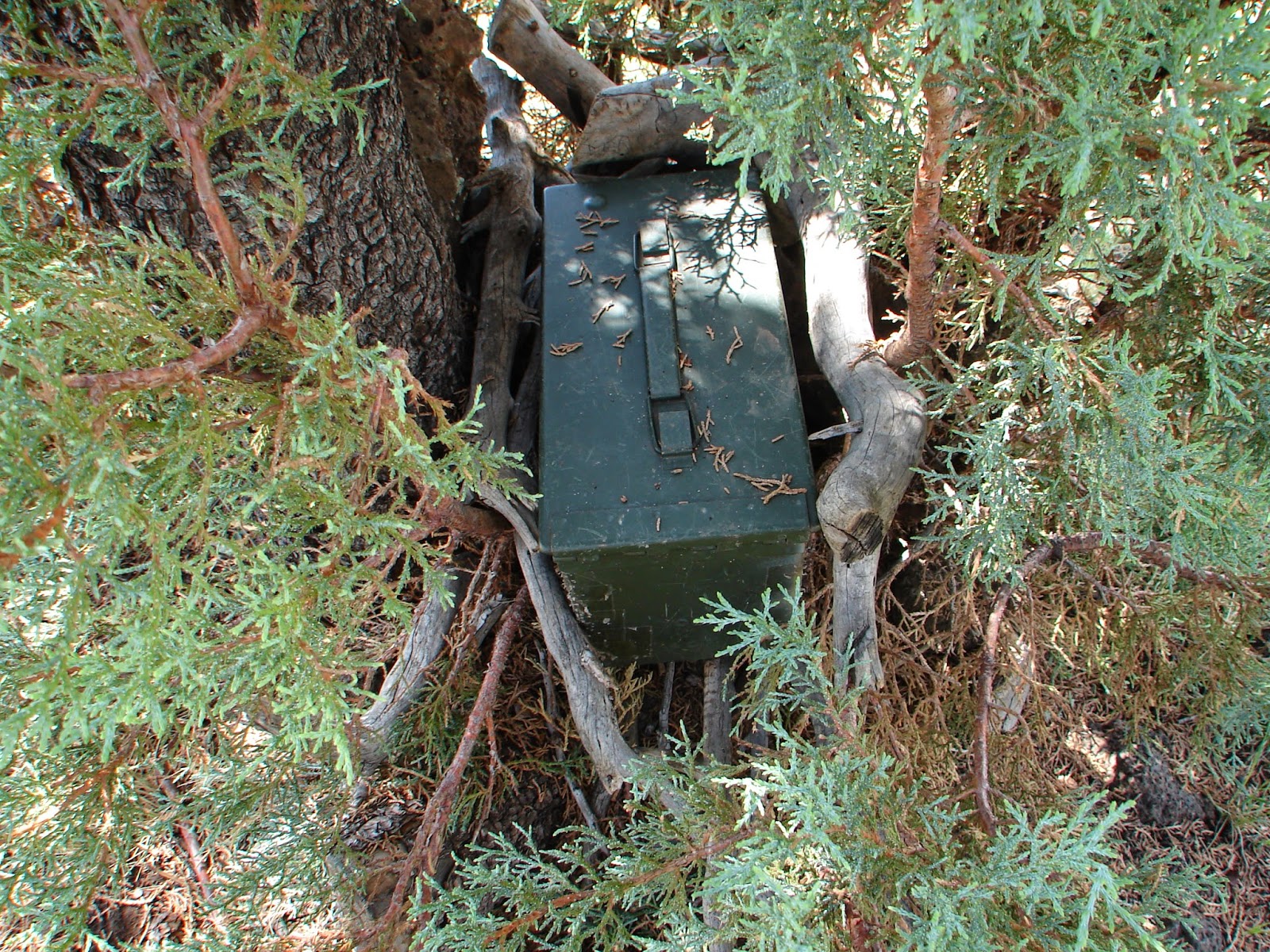 Finding Arizona Arizona Geocaching and Letterboxing