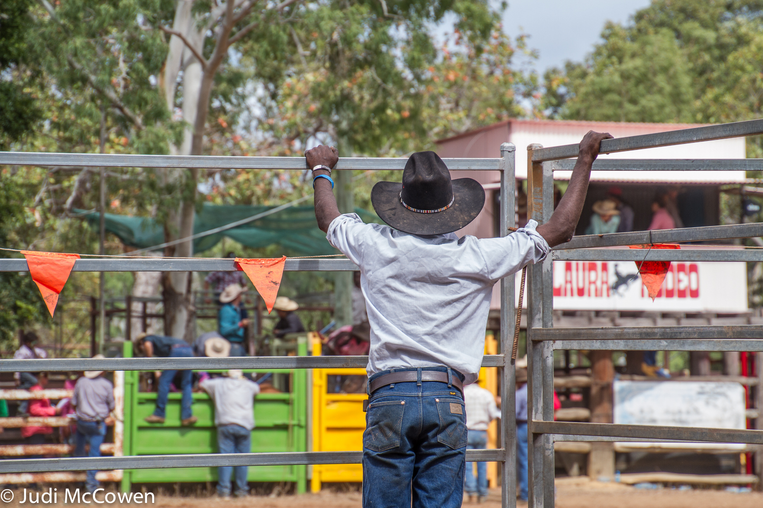 JUstDreamInparadise: Laura Campdraft, Races and Rodeo