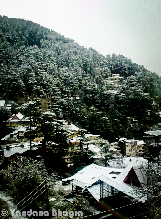 Finally the much awaited snowfall has happened. A breather for locals who were looking towards the sky for this long, dry spell to end and a welcoming gesture for tourists who were waiting for a white Shimla. This will also help the tourism industry recover from a lean Christmas and New Year season as never seen beforeHere are a few snapshots taken at Jakhoo, the highest point of Shimla, which also is the first area to receive snowfall. The falling snowflakes make for an awesome feeling as cold drops form on your face and a look towards the sky causes a dizzying effect leaving you elated and happyThe pleasure of playing in the snow and making a snowman, well decorated with coal (for eyes), carrot (as its mouth), a cap and a scarf was quite something. Age old memories of running in the snow, throwing snowballs and best of all sledging are now all forgotten but refreshed with each fresh fall. Children these days don't enjoy snow as we did and neither are they excited about it. Another reason being that we don't have heavy snowfalls as we used to.But its a start so enjoy it whenever you get the chance as I have seen the excitement and glow with which my daughter plays in the snow today. Photographs in this Photo Journey are shared by various folks from Shimla, who witnessed the snowfall. Wonderful write above is done by Vandana Bhagra !! and Photographs by Vandana Bhagra, Sanjeev Sharma and Gaurav SoodHere is a photograph with snow covered trees on Shimla Mountains - By Gaurav Sood !!!At this point of time, when I compiling this Photo Journey, folks from Shimla must be enjoying on Mall Road and in case you are one of them & tired of walking here and there, Go to Viva Rest-o-Bar to have some drinks/snacks. I can't forget the golden college days when we used to walk down to HP University from Totu... Especially the area between Boileuganj and Summerhill used to be one of the awesome places to play with fresh snow :)HAPPY SNOWFALL AGAIN TO ALL !!! 