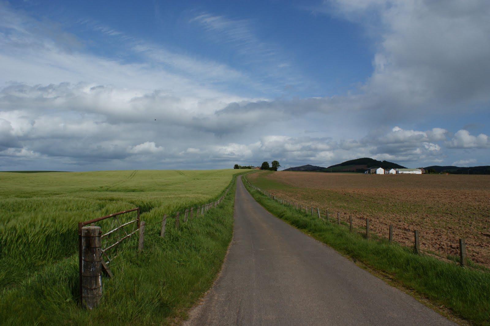 Tour Scotland: Tour Scotland Photographs Rural Perthshire 19th May