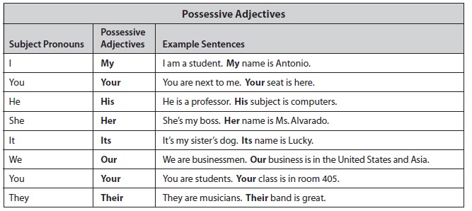 Subject possessive. Possessive pronouns and adjectives примеры. Subject pronouns и object pronouns possessive adjectives правило. Possessive adjectives possessive pronouns таблица. Possessive adjectives примеры.