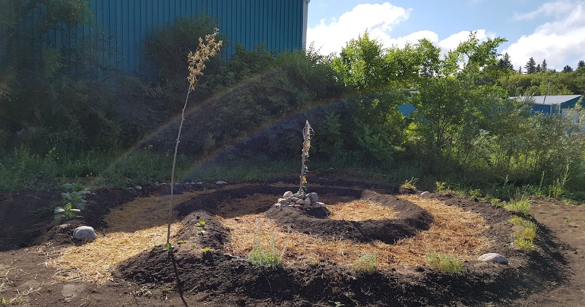 EcoFriendly Sask Healing the Land, Healing the People